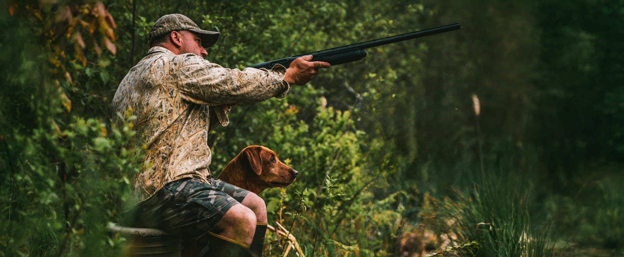 A hunter in camouflage takes aim with a shotgun while a brown retriever waits close by in green cover.