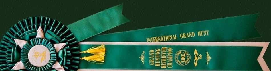 A green rosette and ribbon printed “International Grand Hunt – Grand Hunting Retriever Champion”.
